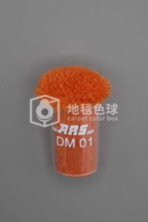 ARS DM01