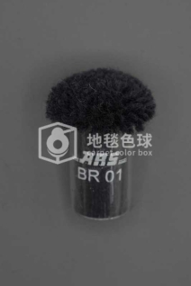 ARS BR01