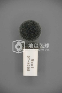 DT N205