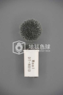 DT N013