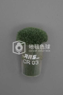 ARS CR03