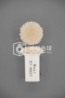 DT N827