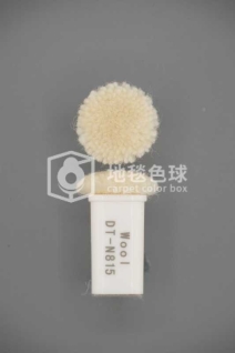 DT N815