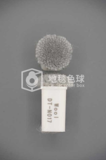 DT N017