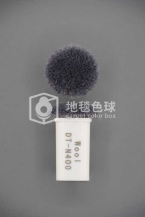DT N400
