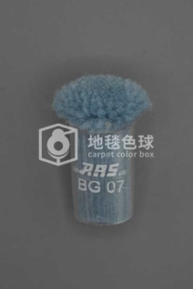 ARS BG07