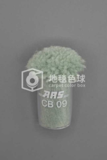 ARS CB09