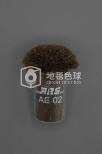 ARS AE02