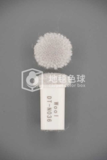 DT N036