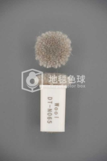 DT N065