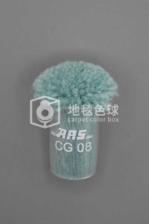 ARS CG08