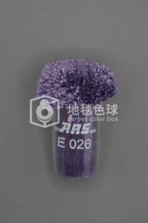 ARS E026