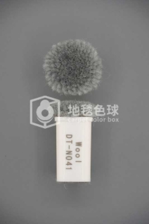 DT N041