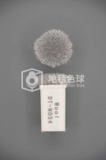 DT N054