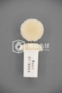 DT N504