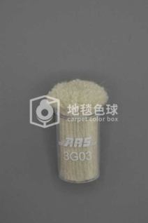 ARS 3G03