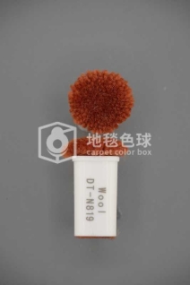 DT N819