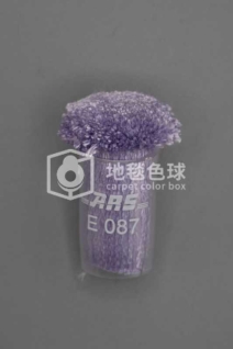 ARS E087