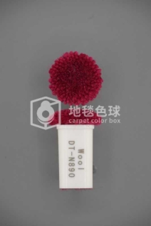 DT N890