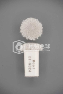 DT N024