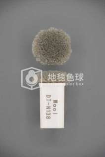 DT N138