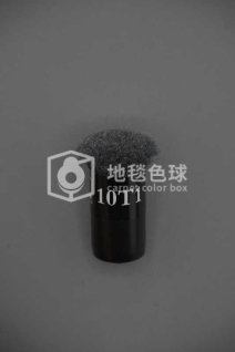 10T1