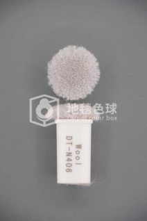 DT N406