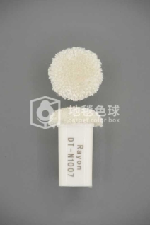 DT N1007