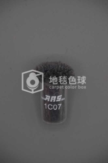 ARS 1C07