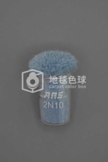 ARS 2N10