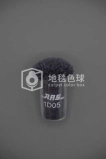 ARS 1D05