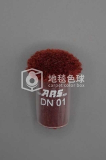 ARS DN01