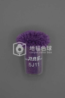 ARS 5J11