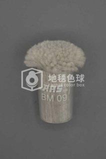 ARS BM09