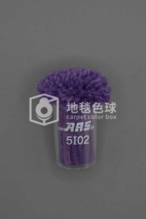 ARS 5I02