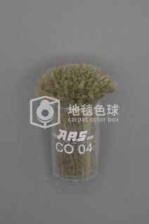 ARS CO04