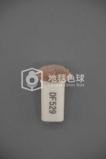 DF529