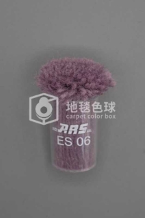 ARS ES06