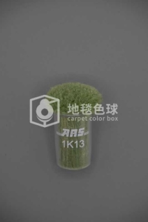 ARS 1K13