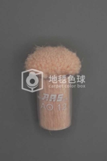 ARS AO12