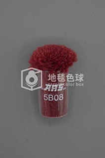 ARS 5B08