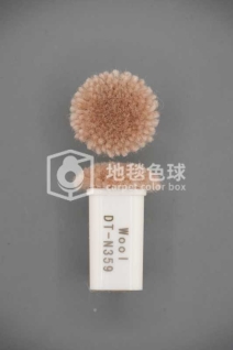 DT N359