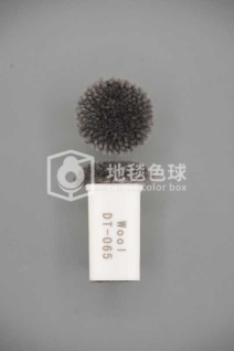 DT 065