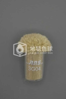 ARS 3G04