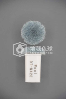 DT N428