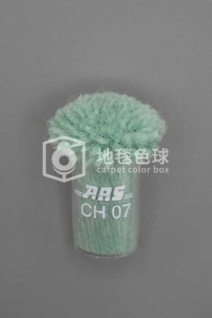 ARS CH07
