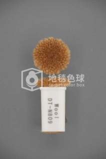 DT N809