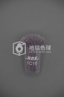 ARS 1C16