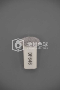 DF646