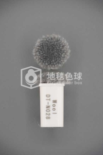 DT N028